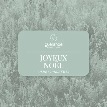 Noel