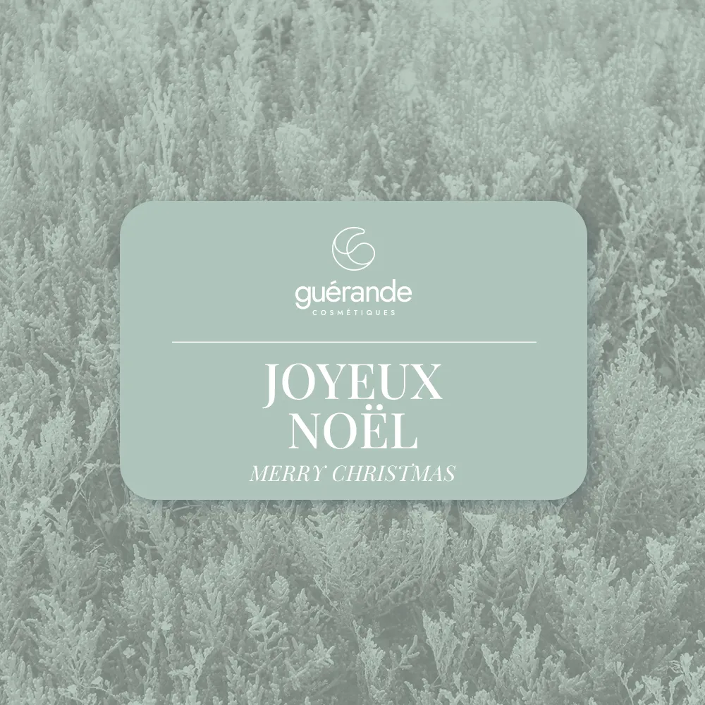 Noel